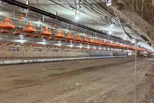 319 Hunters Creek Rd, Toccoa, GA 30577 - Photo 13