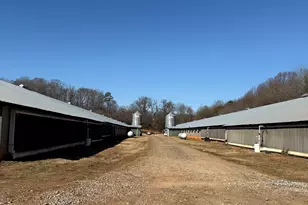 319 Hunters Creek Rd, Toccoa, GA 30577 - Photo 7