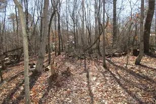 5074 Hwy 255 S, Cleveland, GA 30528 - Photo 49