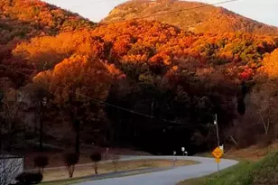 575 Turner Rd, Cleveland, GA 30528 - Photo 3