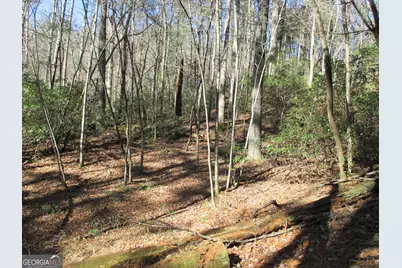 Lot 58 Doe Run, Ellijay, GA 30540 - Photo 17