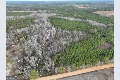 1500 Mallard Road, Cobbtown, GA 30420 - Photo 13