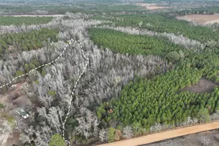 1500 Mallard Rd, Cobbtown, GA 30420 - Photo 13