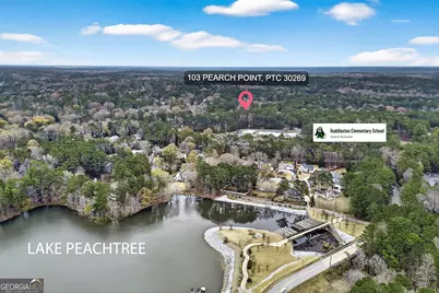 103 Perch Point, Peachtree City, GA 30269 - Photo 51