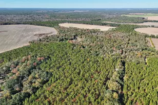 0 Hwy 311, Camilla, GA 31730 - Photo 1