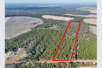 0 Highway 311, Camilla, GA 31730 - Photo 7