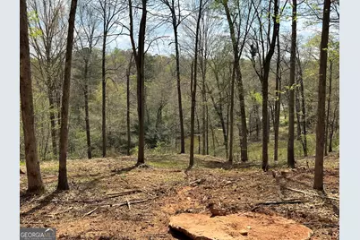 607 Forest Pointe Drive, Forsyth, GA 31029 - Photo 39