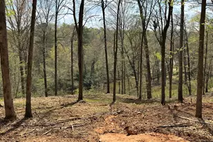 607 Forest Pointe Dr, Forsyth, GA 31029 - Photo 39