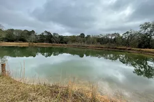 443 E Rivers Rd, Griffin, GA 30224 - Photo 11