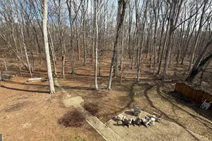 297 Old Clarkesville Mill Rd, Clarkesville, GA 30523 - Photo 41