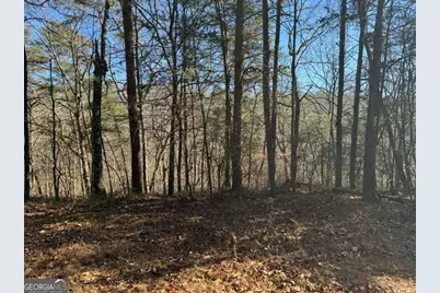 1493 Derby Court NE, Ranger, GA 30734 - Photo 5