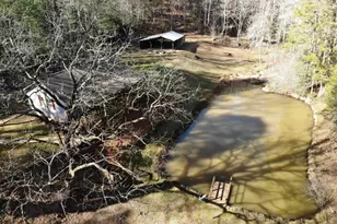 100 Saga Mountain Rd, Tiger, GA 30576 - Photo 83