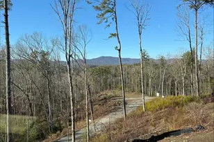 1705 Old Northcutt Rd, Ellijay, GA 30540 - Photo 29