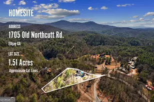 1705 Old Northcutt Rd, Ellijay, GA 30540 - Photo 3