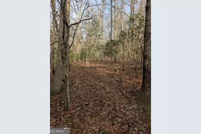 193 Opossum Road #61, Blairsville, GA 30512 - Photo 13