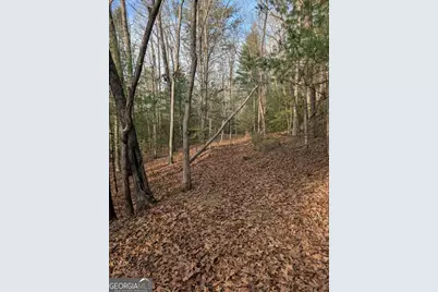 193 Opossum Road #61, Blairsville, GA 30512 - Photo 7