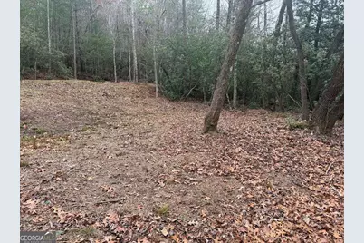 193 Opossum Road #61, Blairsville, GA 30512 - Photo 21