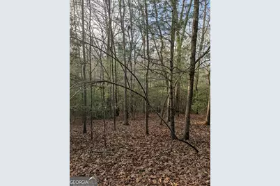 193 Opossum Road #61, Blairsville, GA 30512 - Photo 9