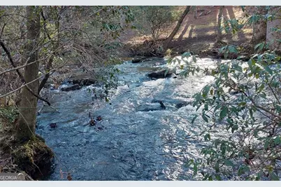 193 Opossum Road #61, Blairsville, GA 30512 - Photo 5