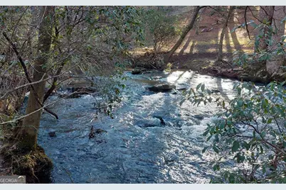 193 Opossum Road #61, Blairsville, GA 30512 - Photo 1