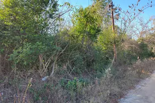 11 Zanders Ave, McRae-Helena, GA 31055 - Photo 13