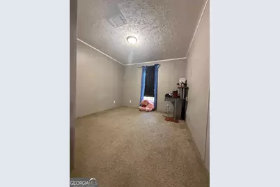 120 Elizabeth Church Road, Hazlehurst, GA 31539 - Photo 23