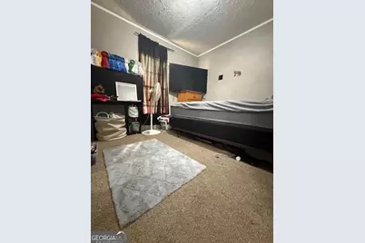 120 Elizabeth Church Road, Hazlehurst, GA 31539 - Photo 21