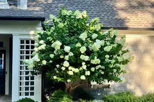 476 Wildcat Trail, Jasper, GA 30143 - Photo 79