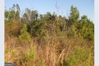 0088 003A Pine Level Church Road, Hazlehurst, GA 31539 - Photo 9