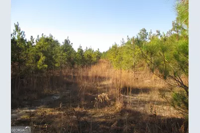 0088 003A Pine Level Church Road, Hazlehurst, GA 31539 - Photo 5