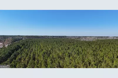 0088 003A Pine Level Church Road, Hazlehurst, GA 31539 - Photo 13