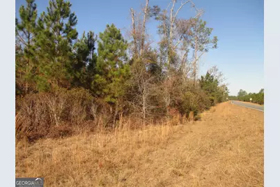0088 003A Pine Level Church Road, Hazlehurst, GA 31539 - Photo 3