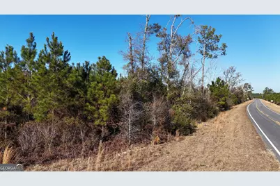 0088 003A Pine Level Church Road, Hazlehurst, GA 31539 - Photo 19