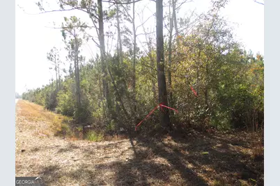 0088 003A Pine Level Church Road, Hazlehurst, GA 31539 - Photo 7
