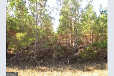 0088 003A Pine Level Church Road, Hazlehurst, GA 31539 - Photo 1