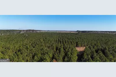 0088 003A Pine Level Church Road, Hazlehurst, GA 31539 - Photo 15