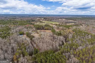 415 Old Jones Rd, Whitesburg, GA 30185 - Photo 41