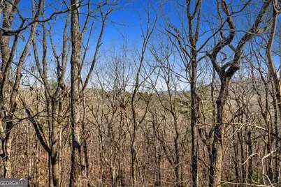 1447 Blue Ridge Drive, Sautee Nacoochee, GA 30571 - Photo 33