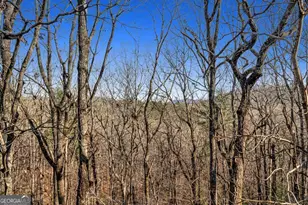 1447 Blue Ridge Dr, Sautee Nacoochee, GA 30571 - Photo 33