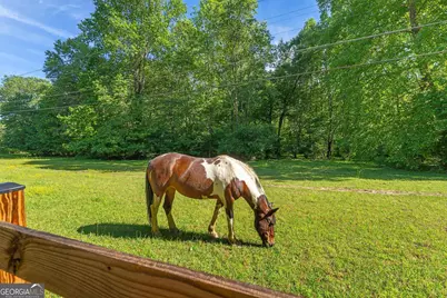 1447 Blue Ridge Drive, Sautee Nacoochee, GA 30571 - Photo 55