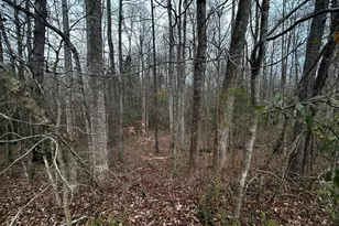 133 4 Oaks Dr, Griffin, GA 30224 - Photo 1