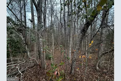 133 Four Oaks Drive, Griffin, GA 30224 - Photo 3