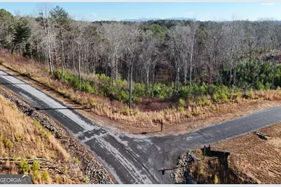 Lot 173 Lecroy Drive, Ellijay, GA 30540 - Photo 47