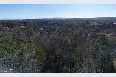 Lot 173 Lecroy Drive, Ellijay, GA 30540 - Photo 25