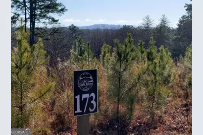 Lot 173 Lecroy Drive, Ellijay, GA 30540 - Photo 3