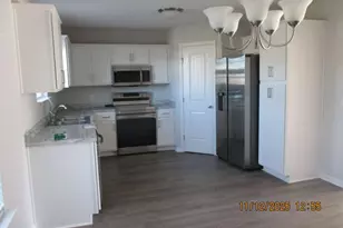 41 Sunflower Circle, Ludowici, GA 31316 - Photo 3