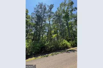 0 Carters View, Ellijay, GA 30540 - Photo 1