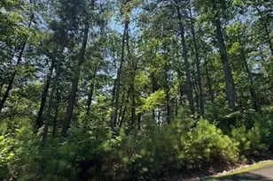 0 Carters View, Ellijay, GA 30540 - Photo 1