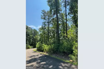0 Carters View, Ellijay, GA 30540 - Photo 3