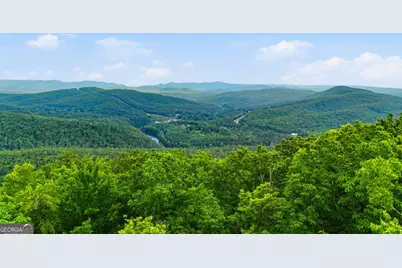 990 Hickory Nut Mountain, Tallulah Falls, GA 30573 - Photo 3